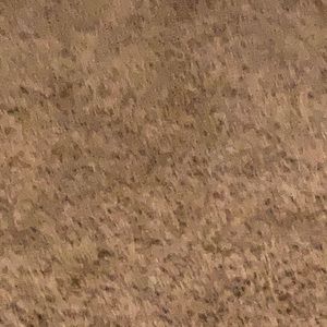 Meet your Posher, Fernando